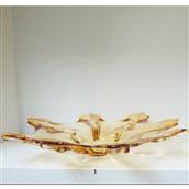 Softshapes